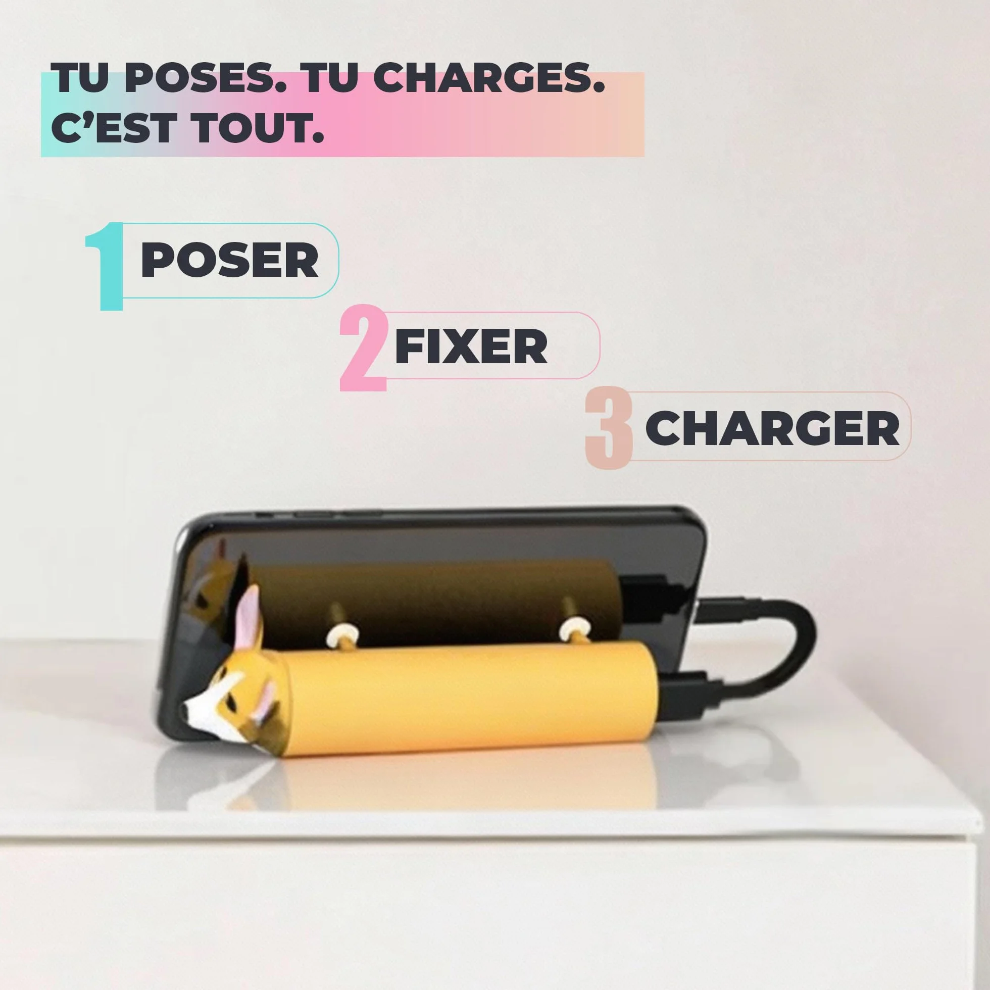 BATTERIE EXTERNE 4800MAH CORGI