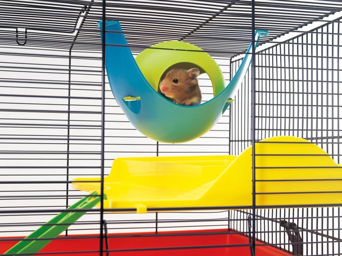 Savic Playhouse dla małych zwierząt domowych plastikowy sputnik, różne kolory, M