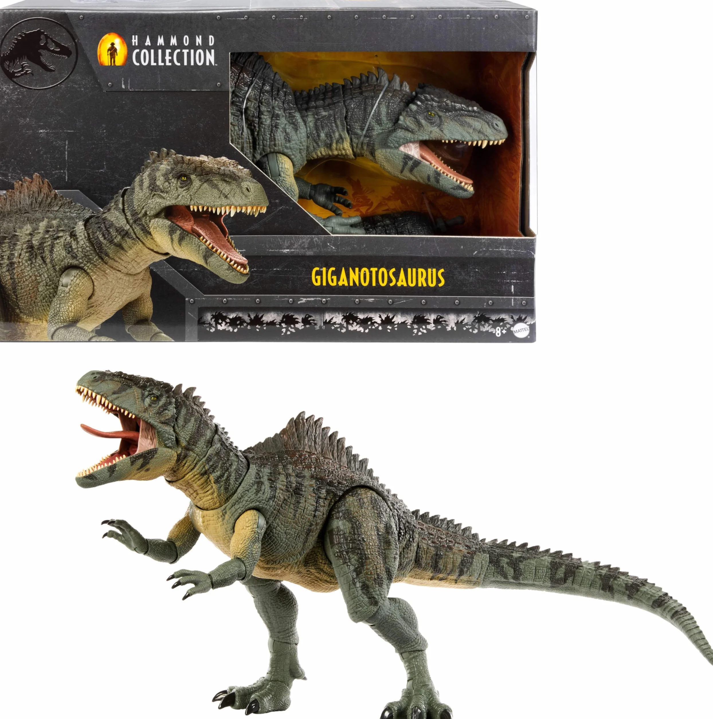 Mattel Jurassic World Giganotosaurus Figurka dinozaura z kolekcji Hammonda, 21 przegubów, szklane oczy, przegubowy ogon i język, HXF57