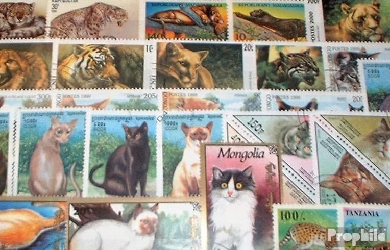 Motywy 50 ró?ne Koty Znaczki (Znaczki dla kolekcjonerów) koty