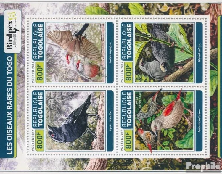 Prophila Collection Togo 8184-8187 mały arkusz (kompletne wydanie) świeży ** MNH 2017 Rzadkie ptaki Togo (znaczki pocztowe dla kolekcjonerów) ptaki