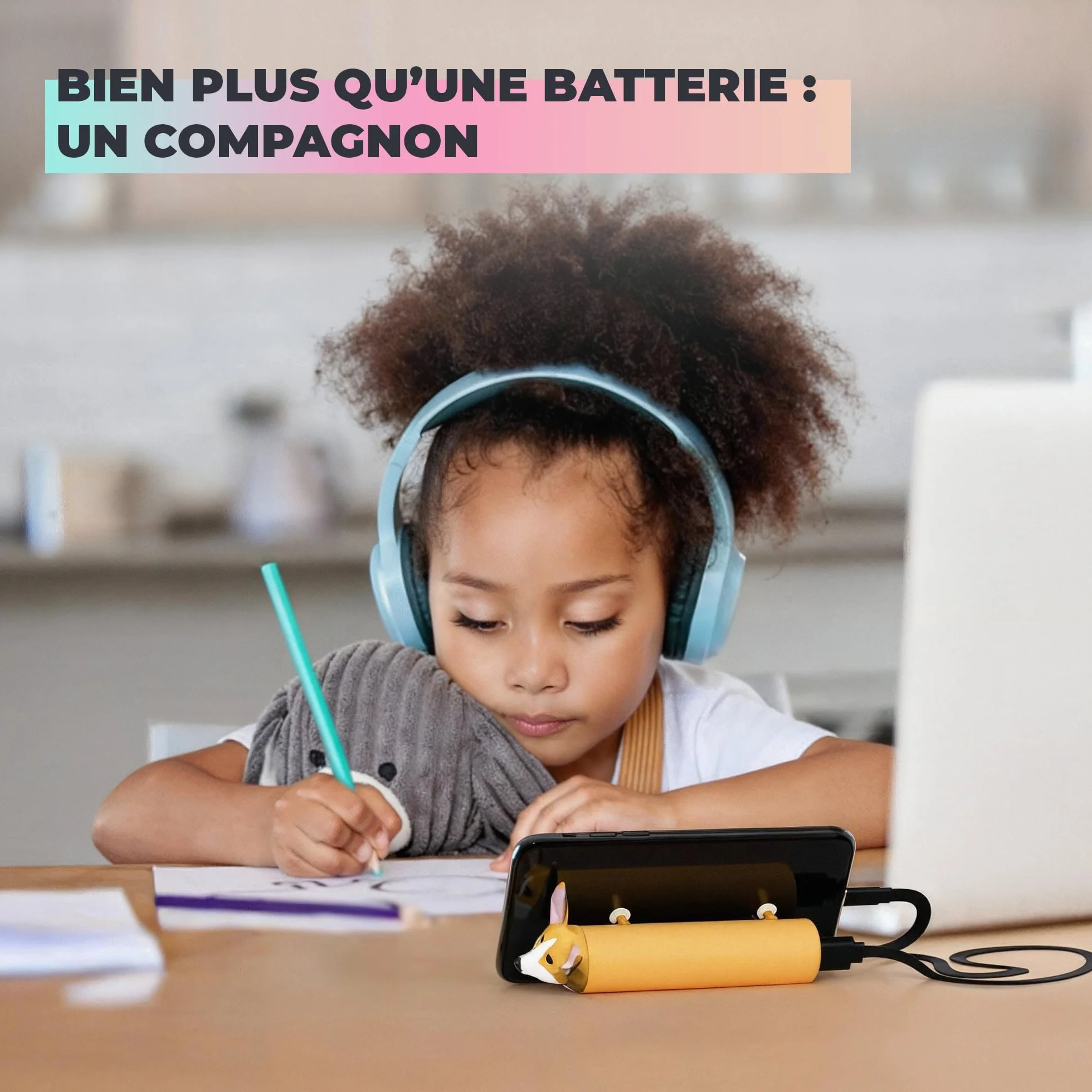 BATTERIE EXTERNE 4800MAH CORGI