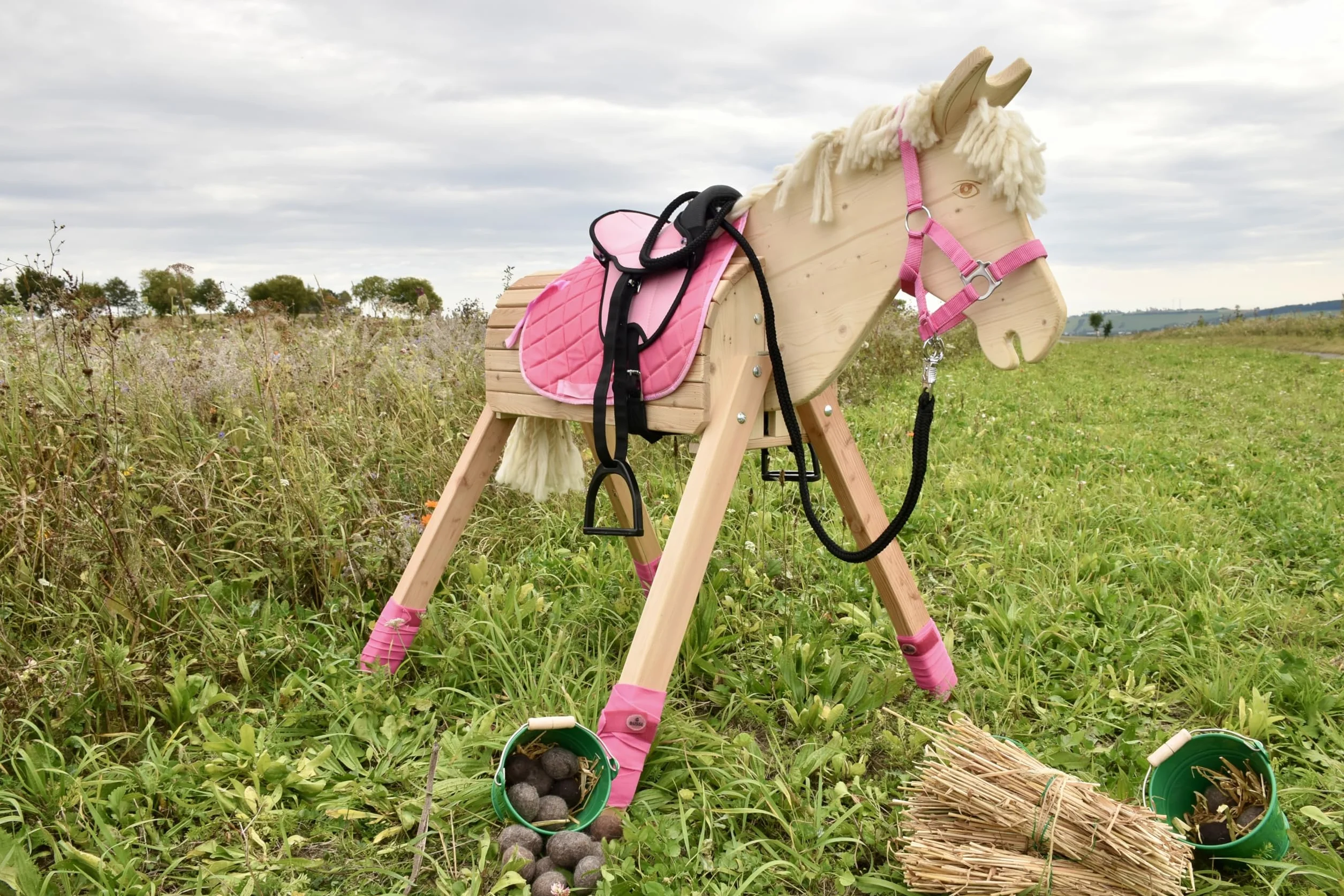 Garden horse “Sandy”