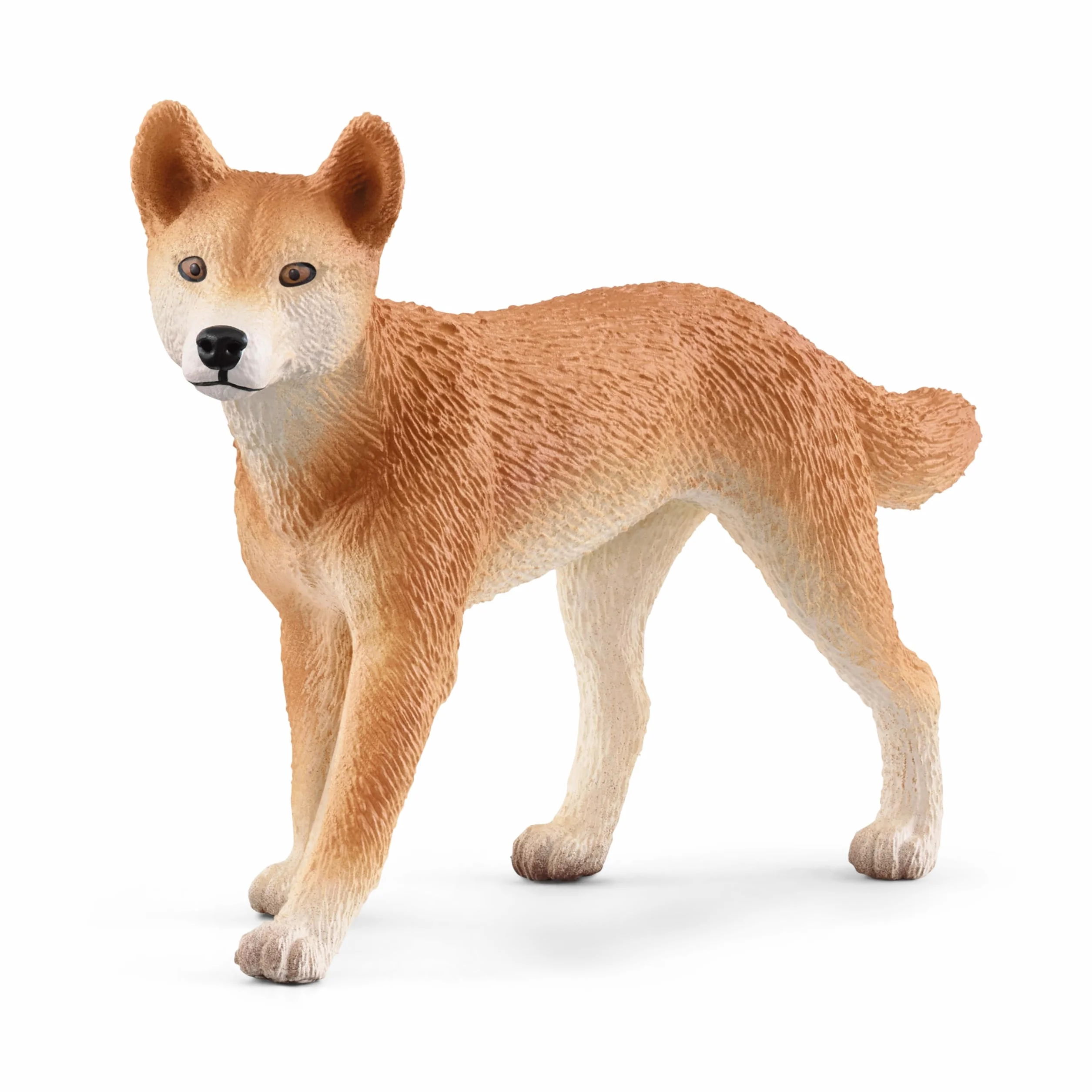 schleich 42623 Outback przygoda Nat Geo, dla dzieci od lat 4, Wild Life - zestaw do zabawy
