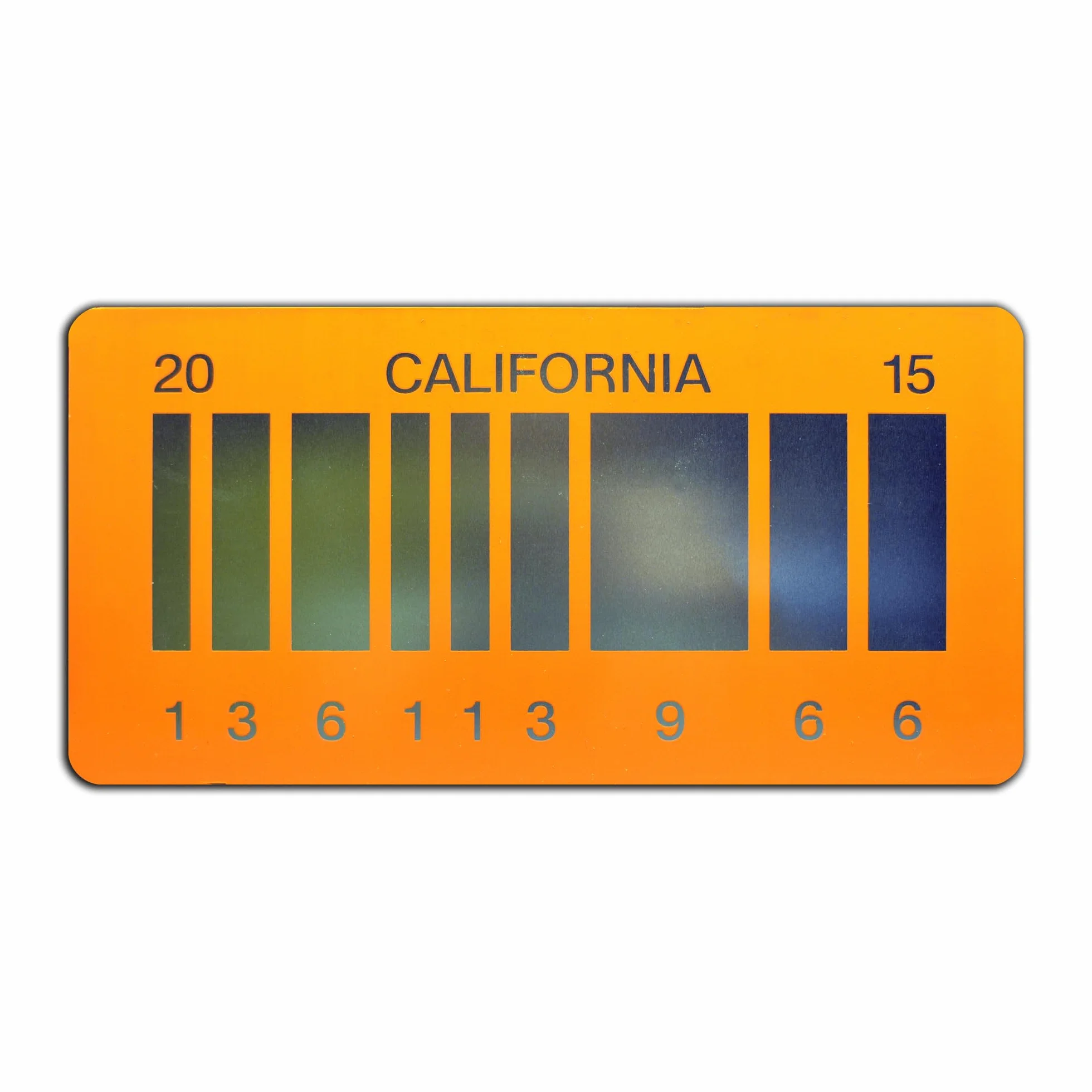 Back to The Future 2 2015 Metal License Plate