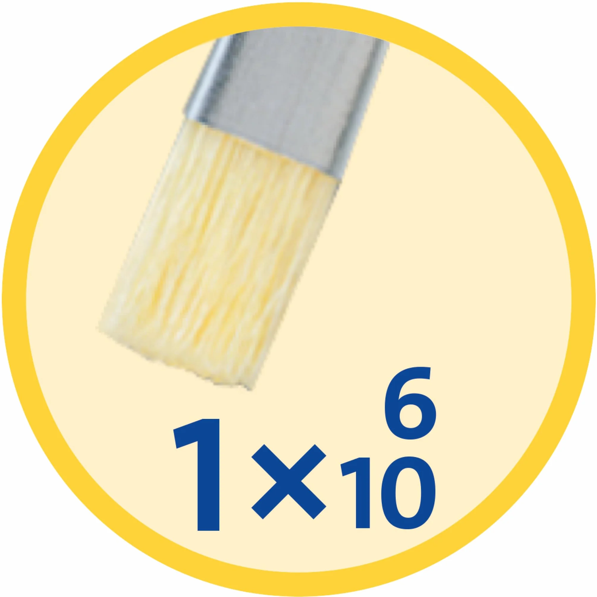 Pelikan® Komplet pędzelków | Drewniany uchwyt | Włosie naturalne | Idealne dla profesjonalistów i amatorów | 5 sztuk | Rozmiar 2, 4, 6 z serii 24 | Rozmiar 6 i 10 z serii 613F
