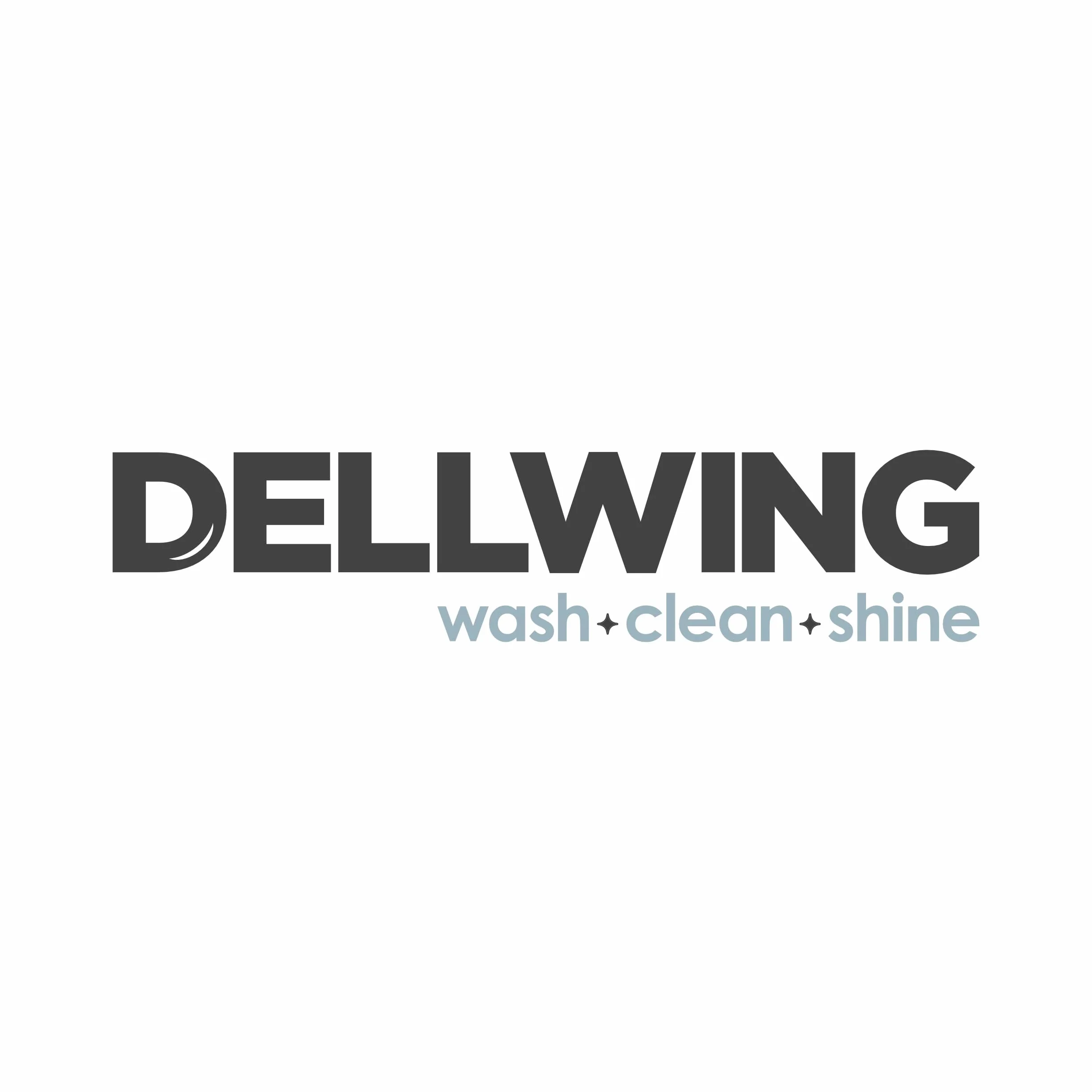 DELLWING Specjalny środek czyszczący HD – wysoko skoncentrowany alkaliczny środek czyszczący do gaźników, głowic cylindrów, wtryskiwaczy, dysz wtryskowych, jako kąpiel ultradźwiękowa, mycie części,