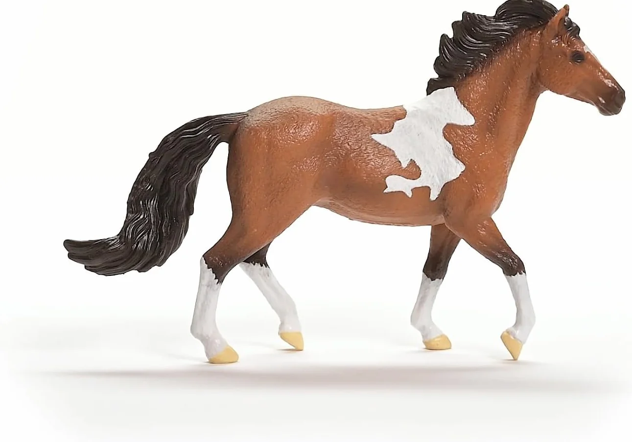 schleich HORSE CLUB | Ogier Mangalarga Marchador 13978 | Szczegółowa figurka konia | Prezent dla dziewczynek i chłopców | Figurka dekoracyjna i kolekcjonerska | od 5 lat | 4 × 18 × 11 cm