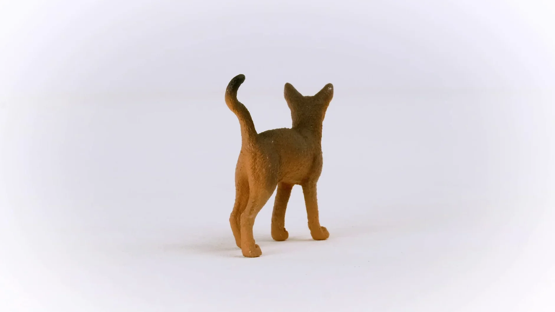 schleich FARM WORLD | Kot abisyński 13964 | Figurka kota | Szczegółowa figurka | Prezent dla dzieci | Od 3 lat | 6 × 2 × 5 cm