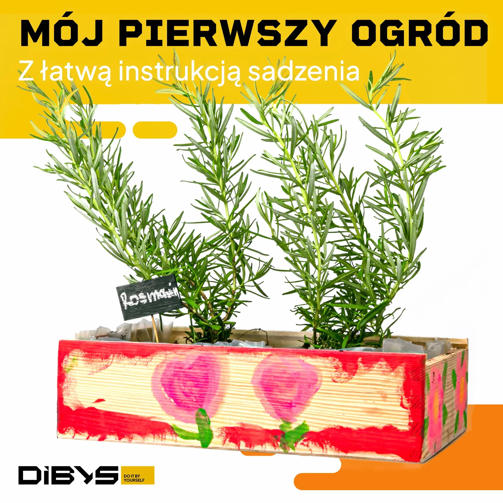 DIBYS Zestaw do Uprawy dla Dzieci | Kompletny Zestaw Ogrodowy z Nasionami Ziół, Drewnianymi Narzędziami, Ziemią, Farbami i Skrzynką do Malowania | Kreatywny Pomysł na Prezent | Zestaw Roślin