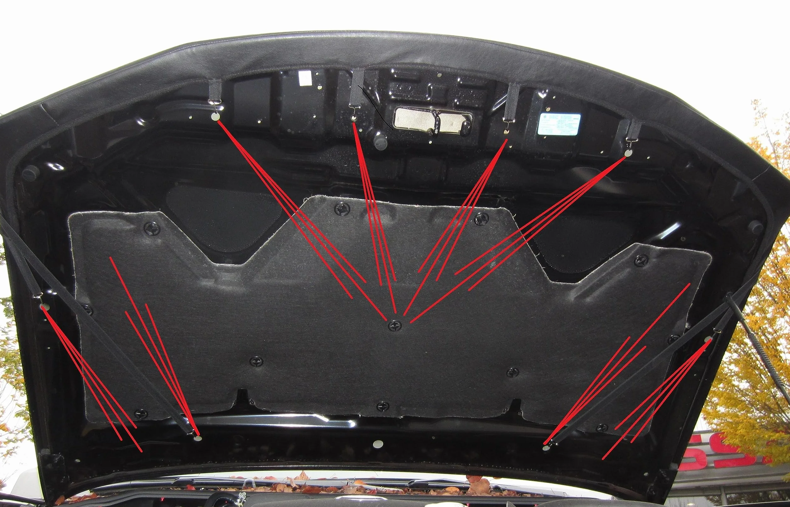 Osłona maski Carbon Auto Bra kompatybilna Nissan Navara III D40 2005-2015 Pathfinder III R51 2004-2013