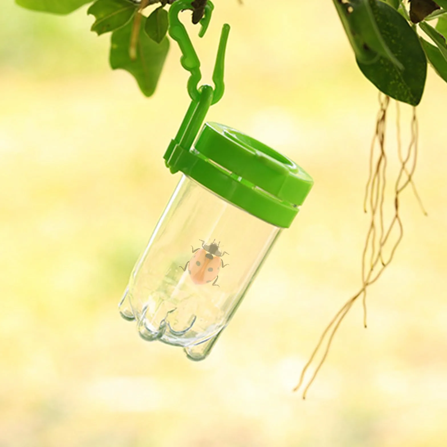 6 szt. powiększający pojemnik na owady powiększający insekt, przezroczyste pudełko na owady dla dzieci, plastikowe pudełka na owady, przenośna klatka dla dzieci, nauka, narzędzie do eksploracji