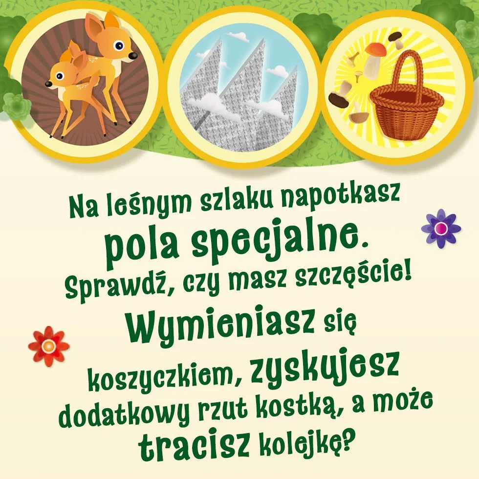 Trefl Grzybobranie w Zielonym Gaju Rodzinna Gra Planszowa dla Dzieci od 4 lat
