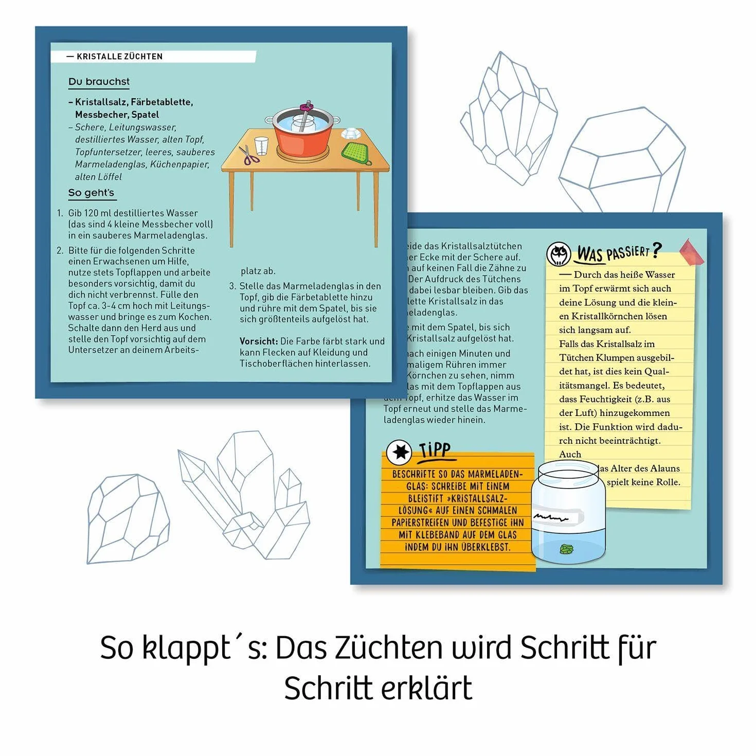 Rote Kristalle selbst züchten: Experimentierkasten