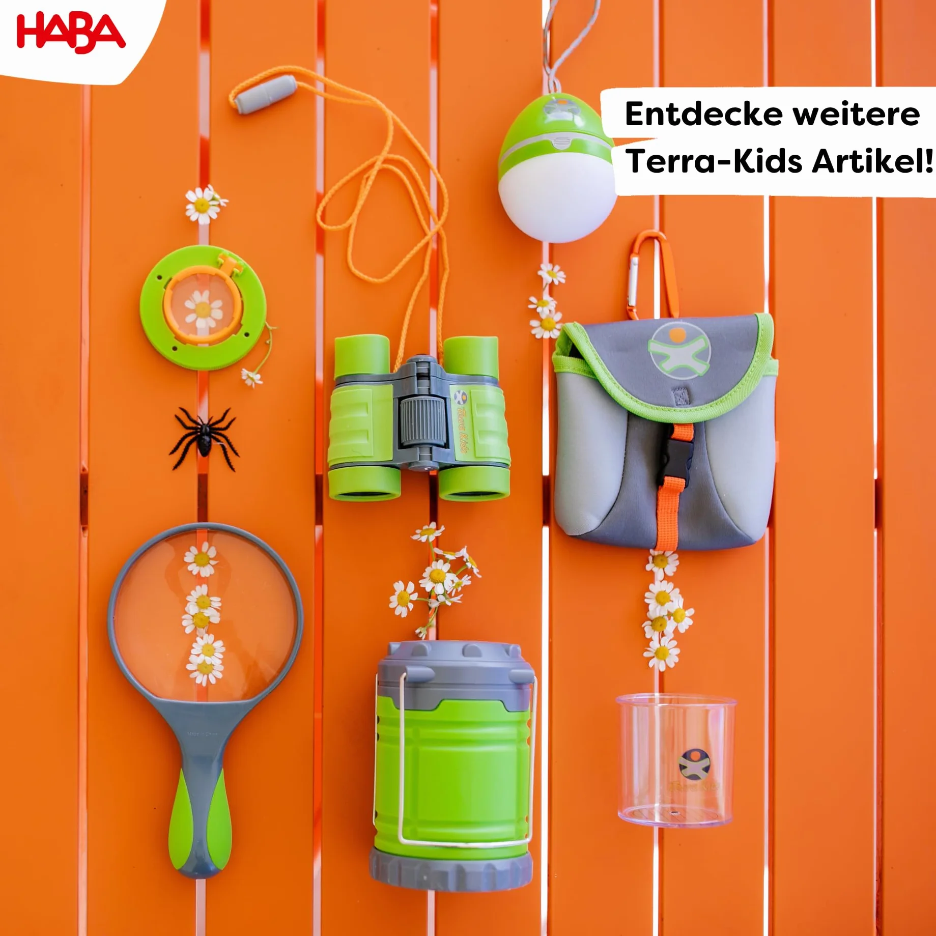 HABA 301513 Terra Kids Insect Box- Heigh 11.5 cm- Comfortable to Hold Carrying Handle