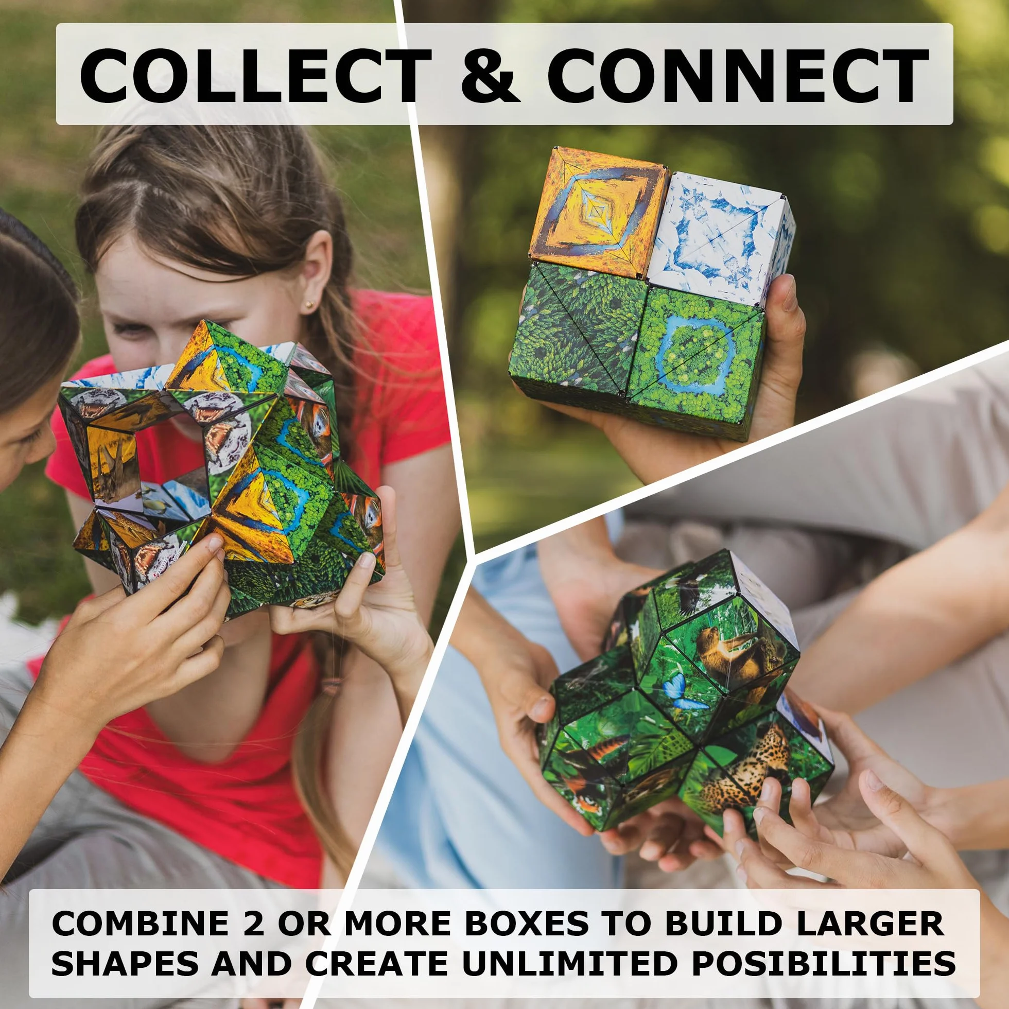 SHASHIBO Shape Shifting Box - Wielokrotnie Nagradzana, Opatentowana Kostka Fidget Cube z 36 Magnesami Ziem Rzadkich - Przekształcająca się w Ponad 100 Kształtów (Jungle)
