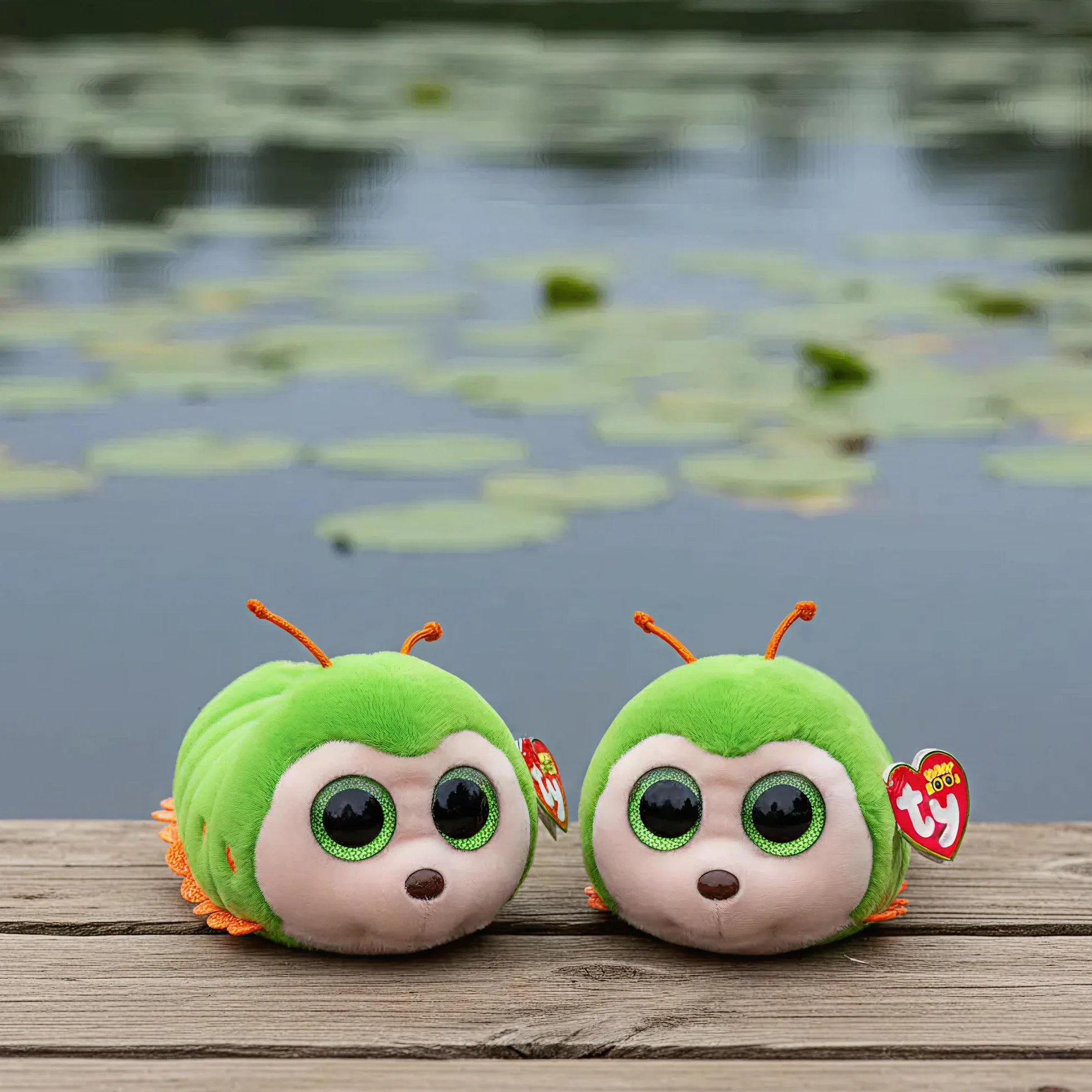 Beanie Boo: Pilar the Caterpillar Small (SNG6)