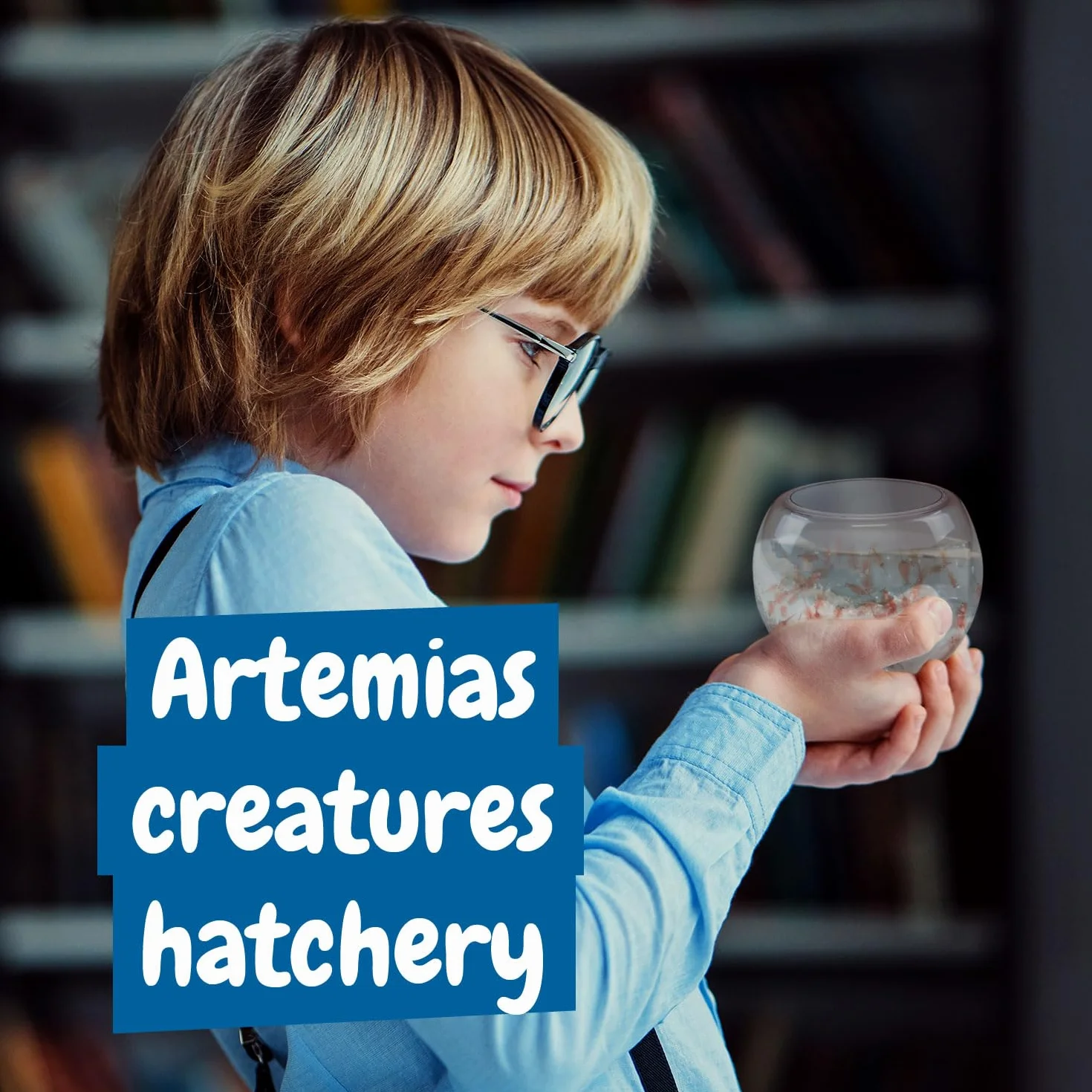 Science4you Zwierzęta jurajskie - zestaw hodowli małp morskich (rodzina Triops), stwórz ekosystem, żywe zwierzęta morskie + akwarium, artemia, gry, prezent dla dziecka i dziewczynki w wieku 6 7 lat 8+
