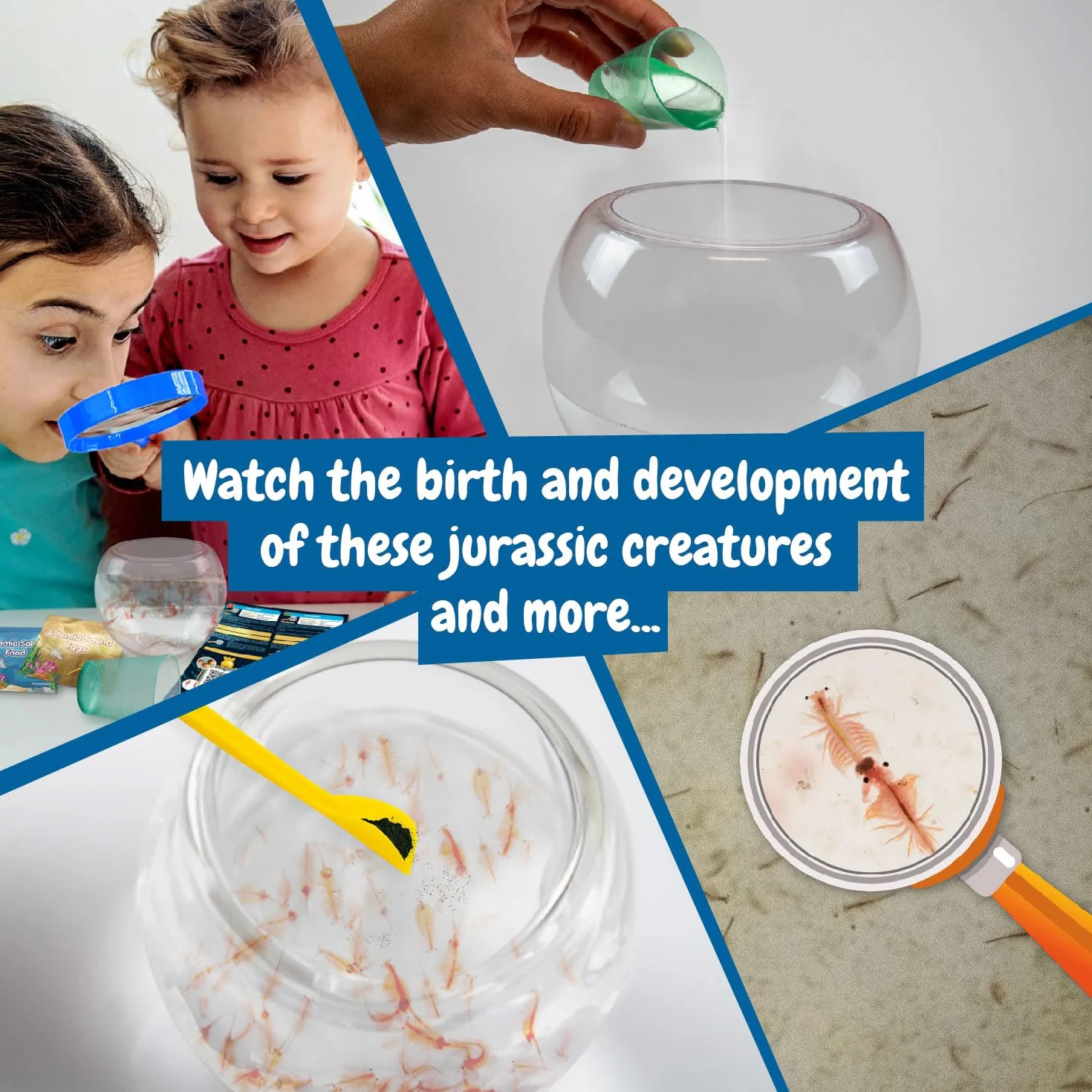 Science4you Zwierzęta jurajskie - zestaw hodowli małp morskich (rodzina Triops), stwórz ekosystem, żywe zwierzęta morskie + akwarium, artemia, gry, prezent dla dziecka i dziewczynki w wieku 6 7 lat 8+