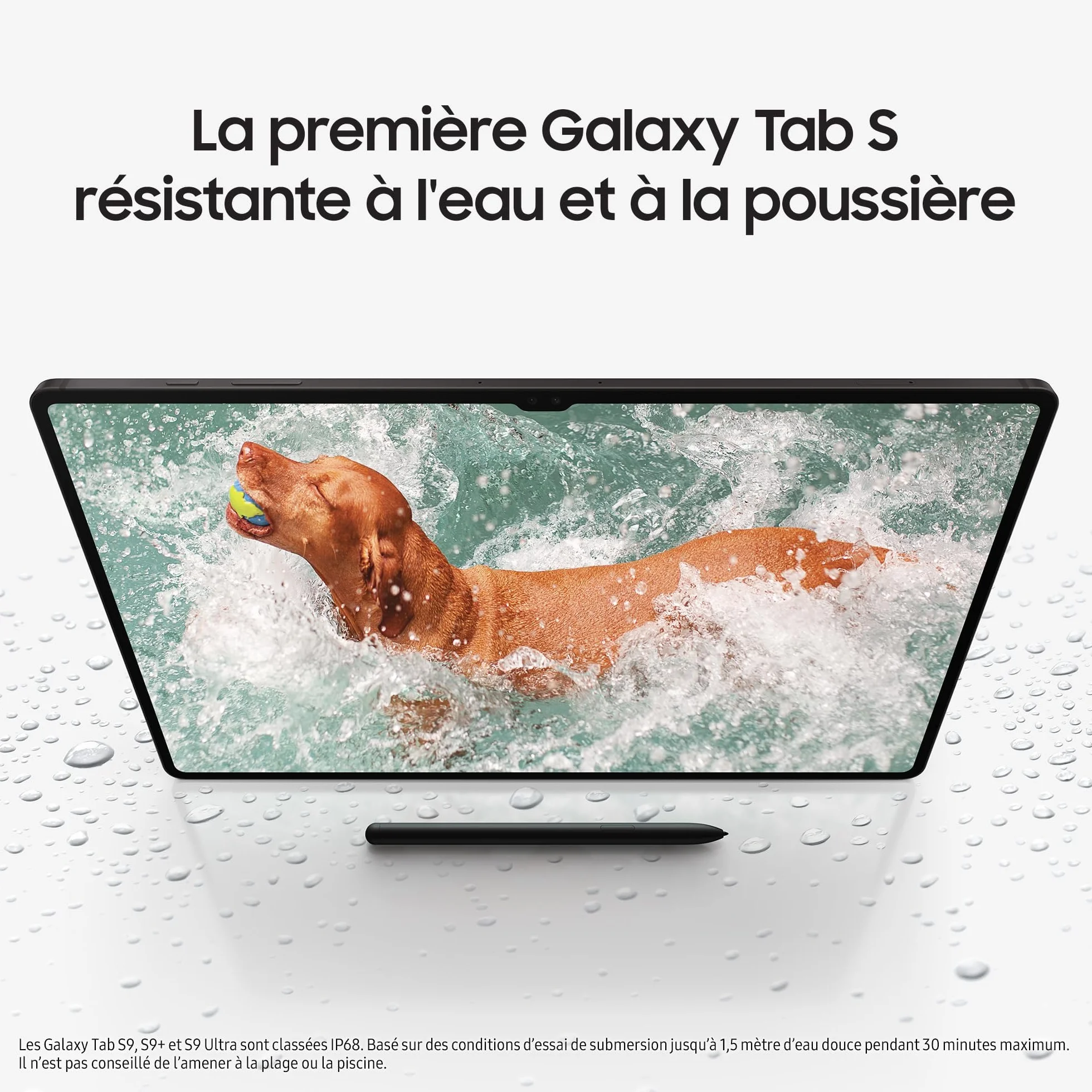 Tablet Samsung Galaxy Tab S9+ 12.4" 256GB/12GB Wi-Fi Negro
