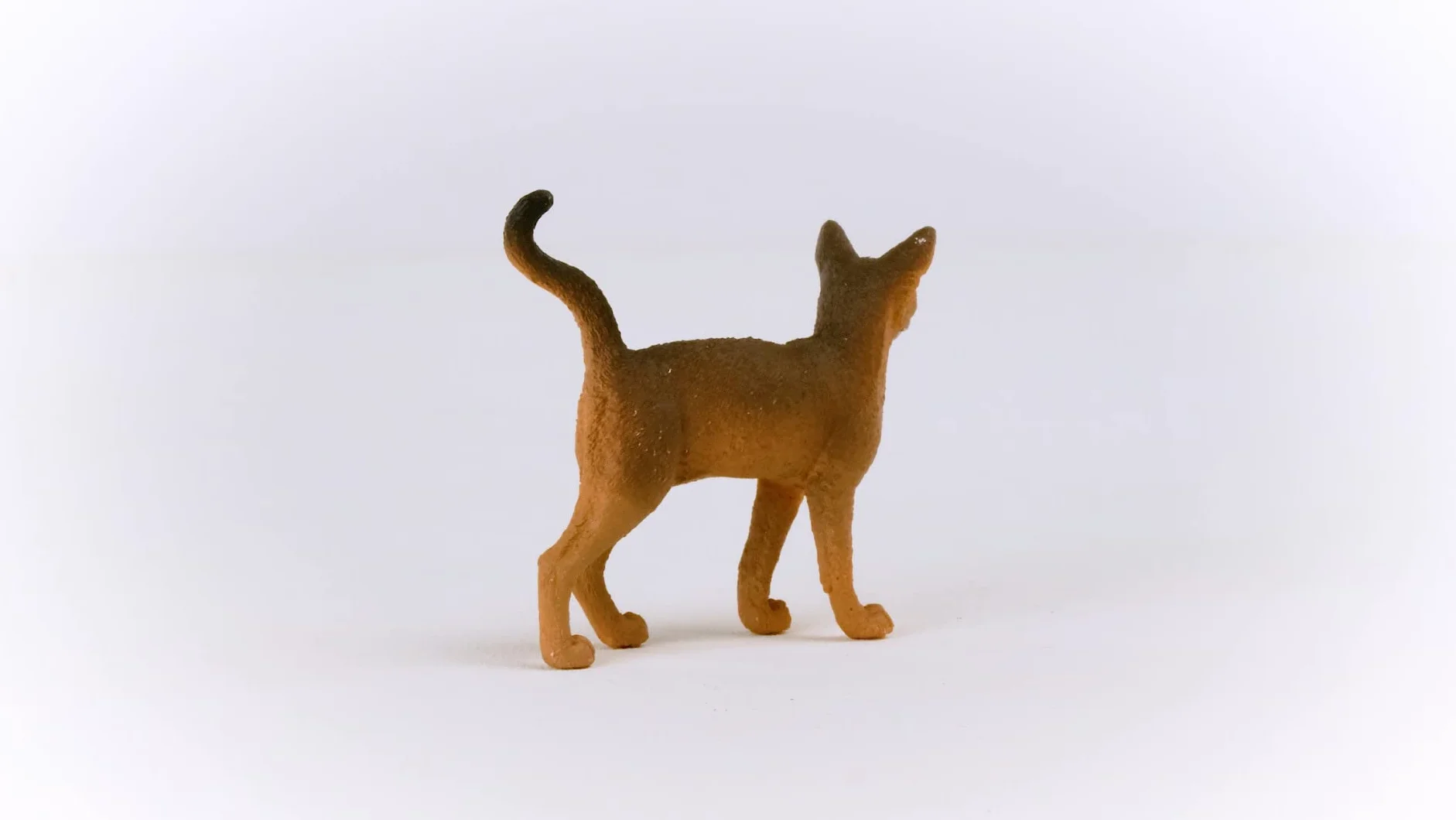 schleich FARM WORLD | Kot abisyński 13964 | Figurka kota | Szczegółowa figurka | Prezent dla dzieci | Od 3 lat | 6 × 2 × 5 cm