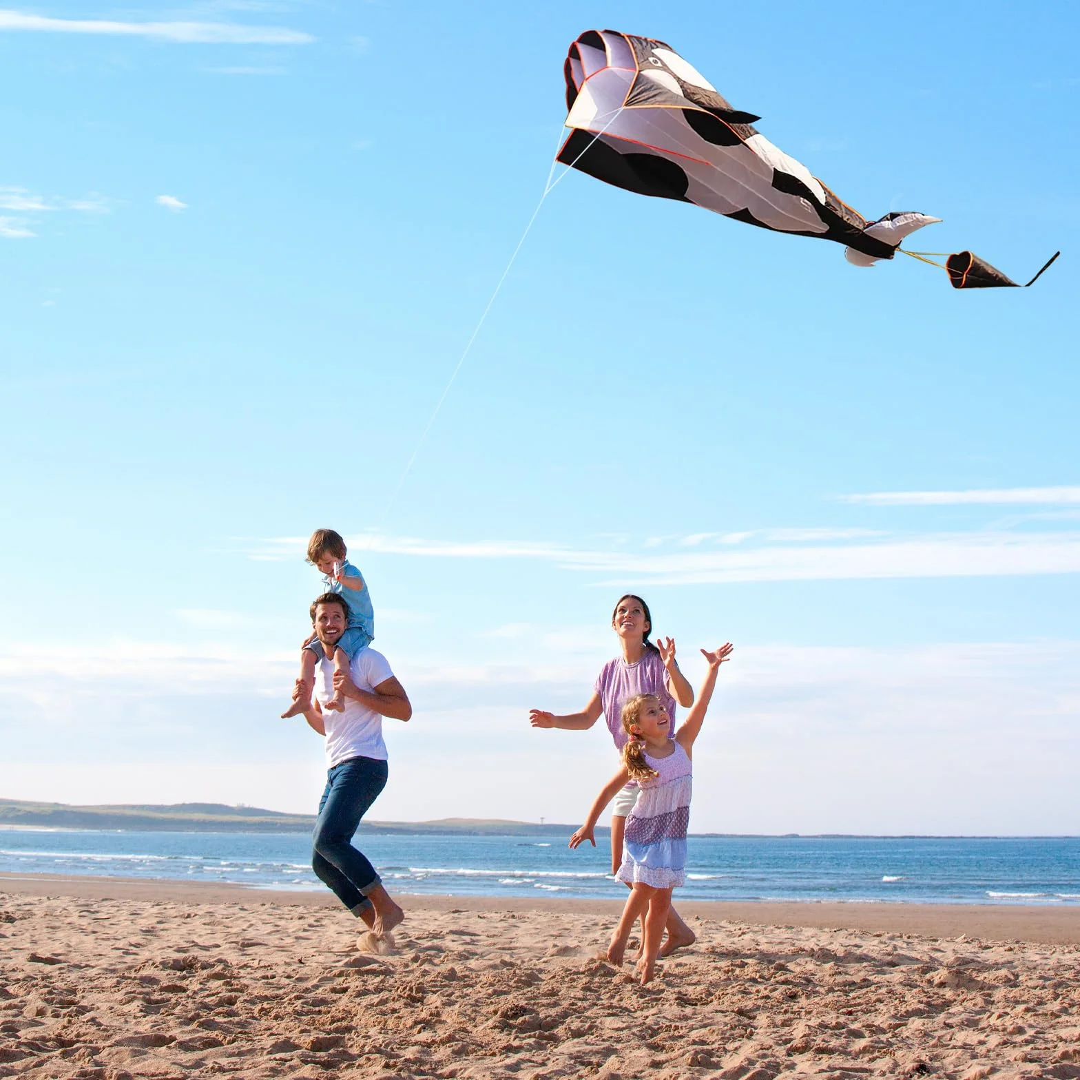 Ogromny smok, Shyllin wiatrak dla dzieci, latawiec zabójczy, smok dla dorosłych, na plażę i na trawnik, 215 x 125 cm