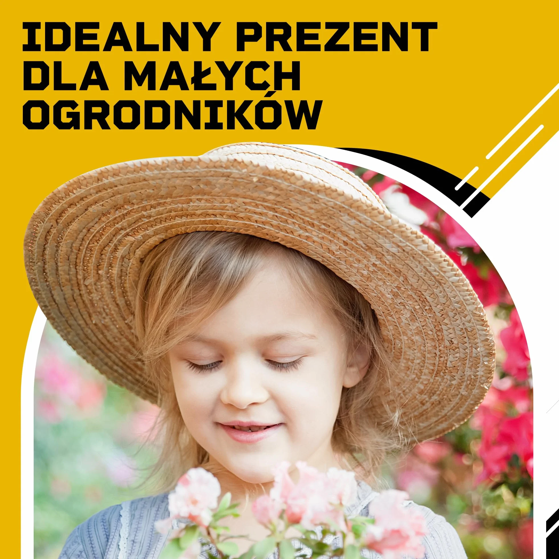 DIBYS Zestaw do Uprawy dla Dzieci | Kompletny Zestaw Ogrodowy z Nasionami Ziół, Drewnianymi Narzędziami, Ziemią, Farbami i Skrzynką do Malowania | Kreatywny Pomysł na Prezent | Zestaw Roślin