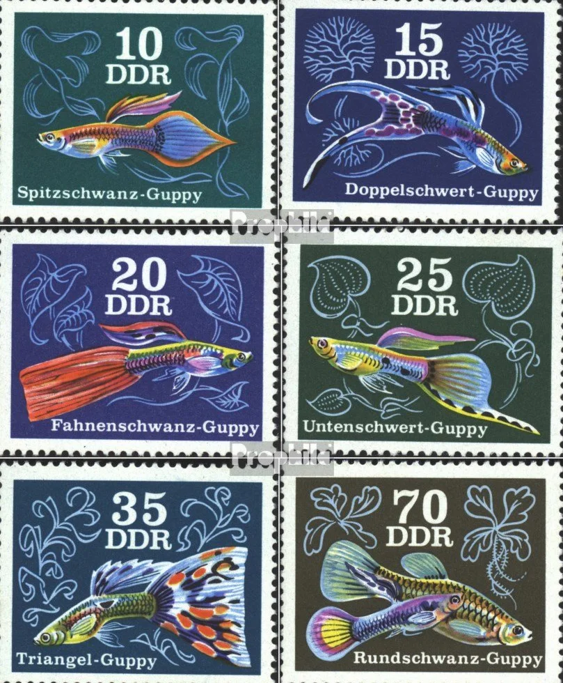 DDR 2176-2181 (pe?ne.Kwestia) 1976 Ryby ozdobne (Znaczki dla kolekcjonerów) Zwierzeta wodne