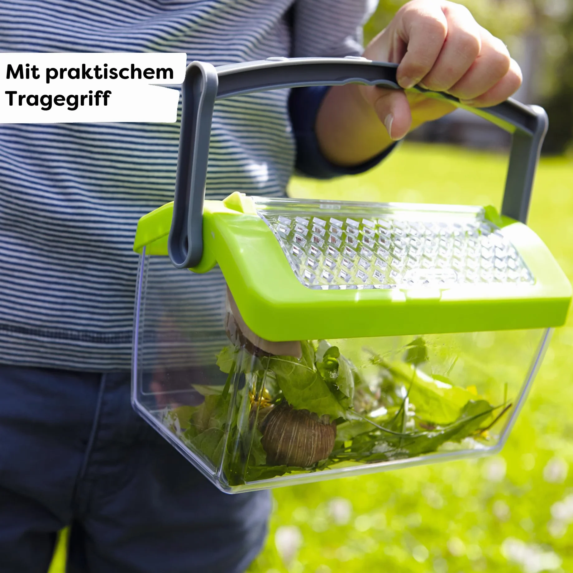 HABA 301513 Terra Kids Insect Box- Heigh 11.5 cm- Comfortable to Hold Carrying Handle