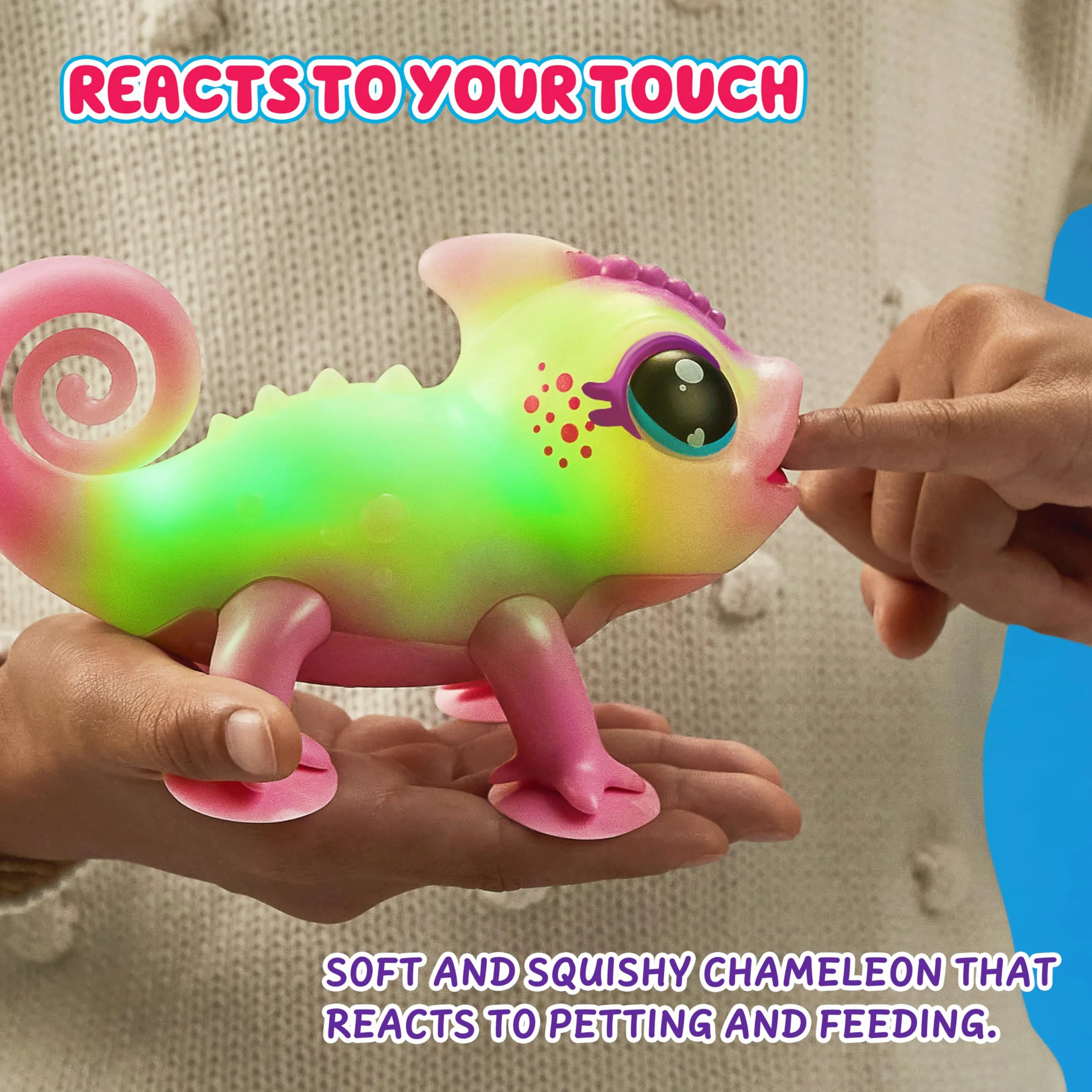 Little Live Pets - Calm A Chameloen - Nova (26365)